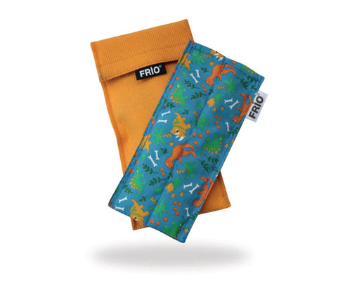 Frio İki Kalemlik İnsülin Soğutucu Cüzdan Dinazor Desenli freeshipping - DiabStore
